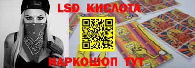 гашик Будённовск