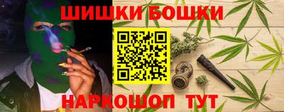 гашик Будённовск