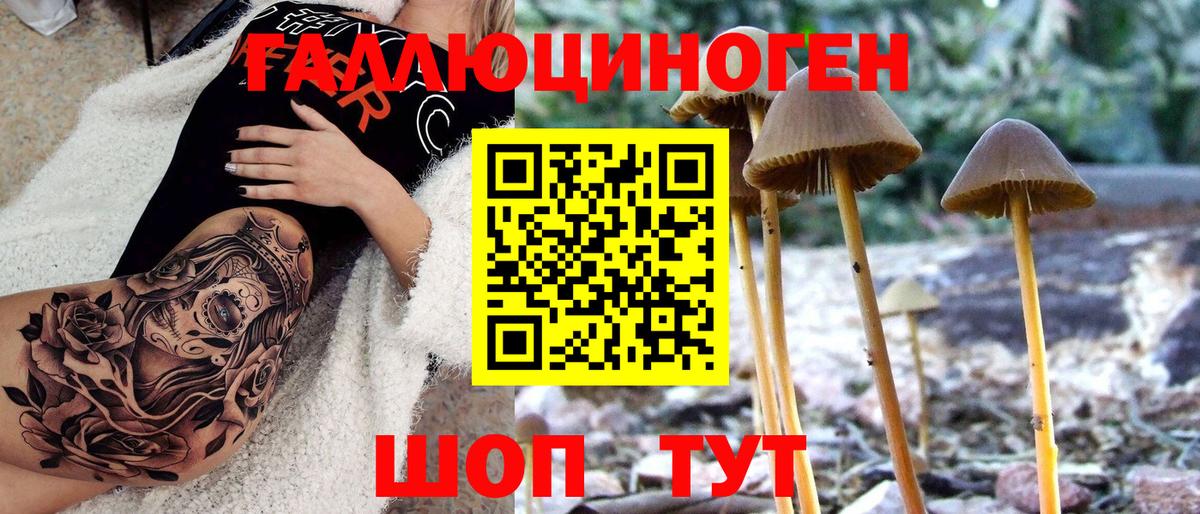 Псилоцибиновые грибы мицелий Усть-Кут